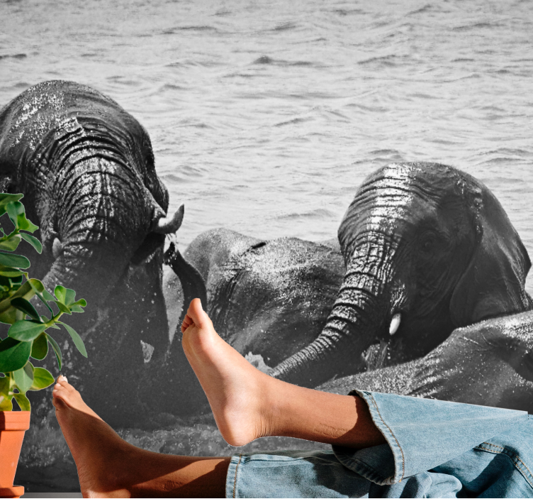 Animal mural elephants in water - TenStickers