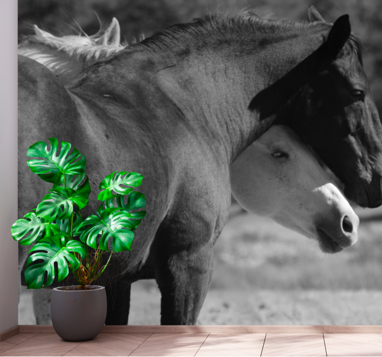 Animal mural horse companionship mural - TenStickers