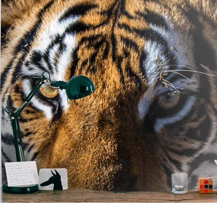 Animal mural magnificent tiger close-up - TenStickers