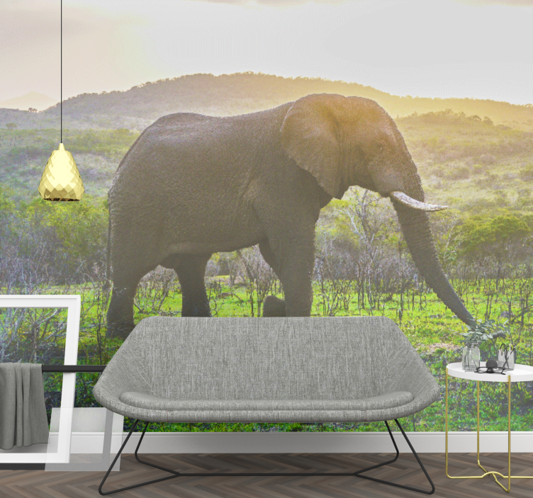 Animal mural majestic elephant scene - TenStickers