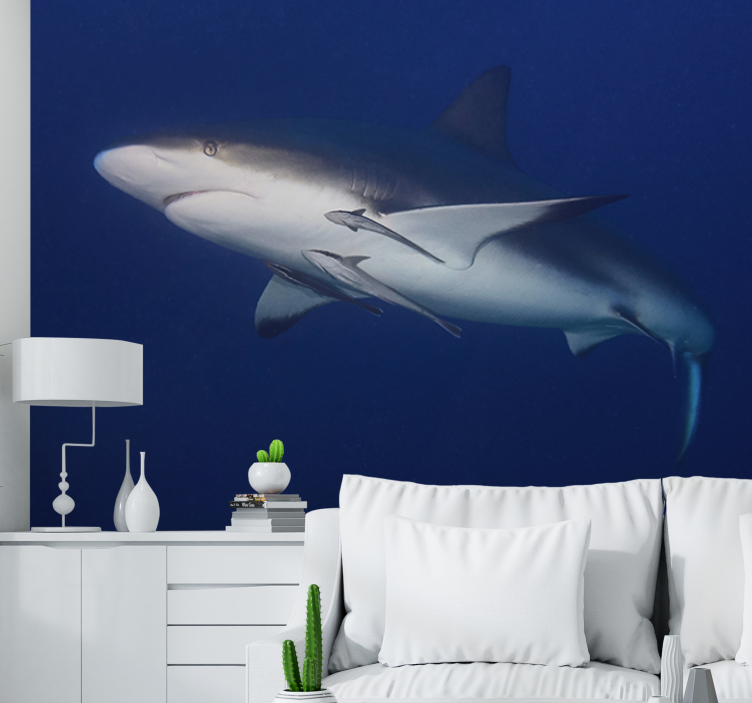 Animal mural majestic shark swim - TenStickers