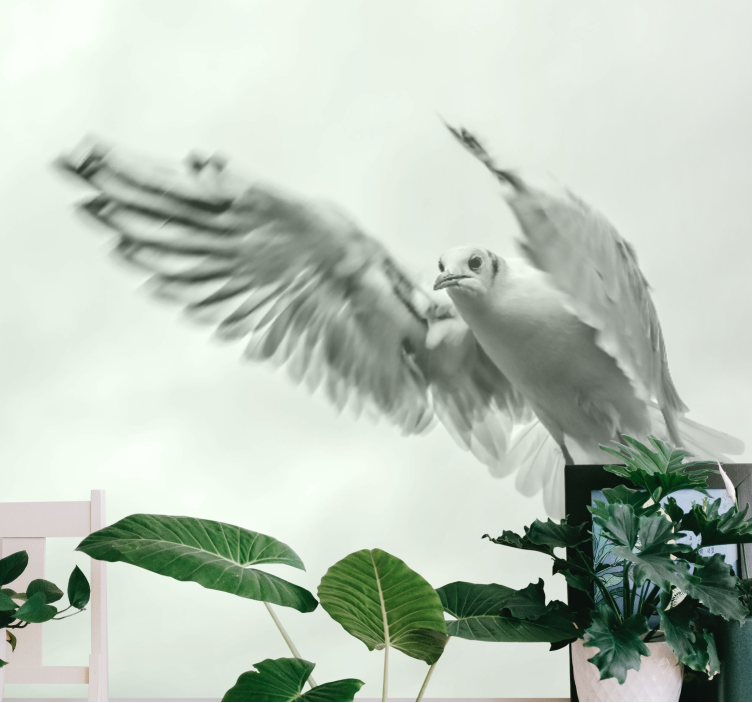 Animal mural of soaring white bird - TenStickers