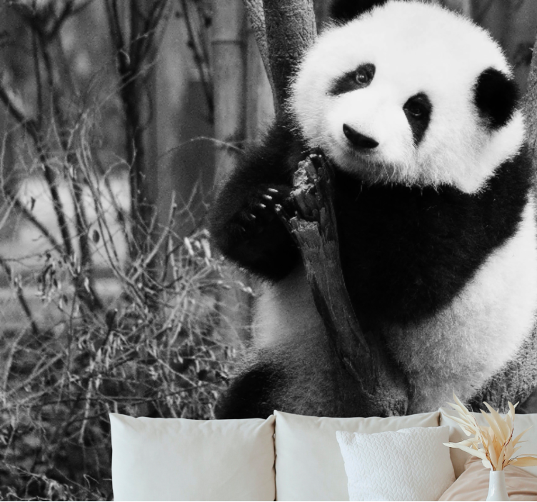 Animal mural panda in a tree - TenStickers