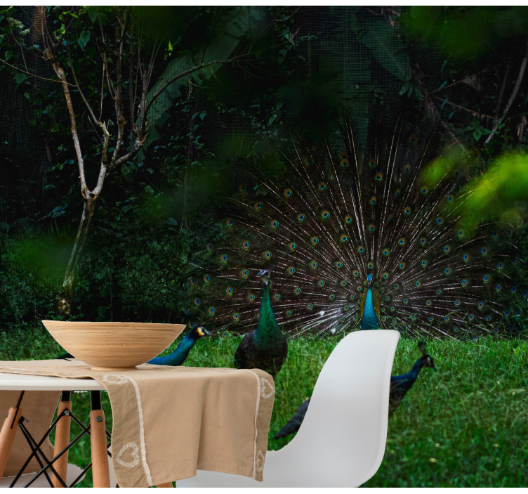 Animal mural peacock showcasing feathers - TenStickers