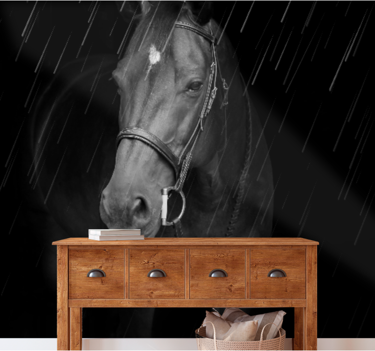 Animal mural regal equine portrait - TenStickers