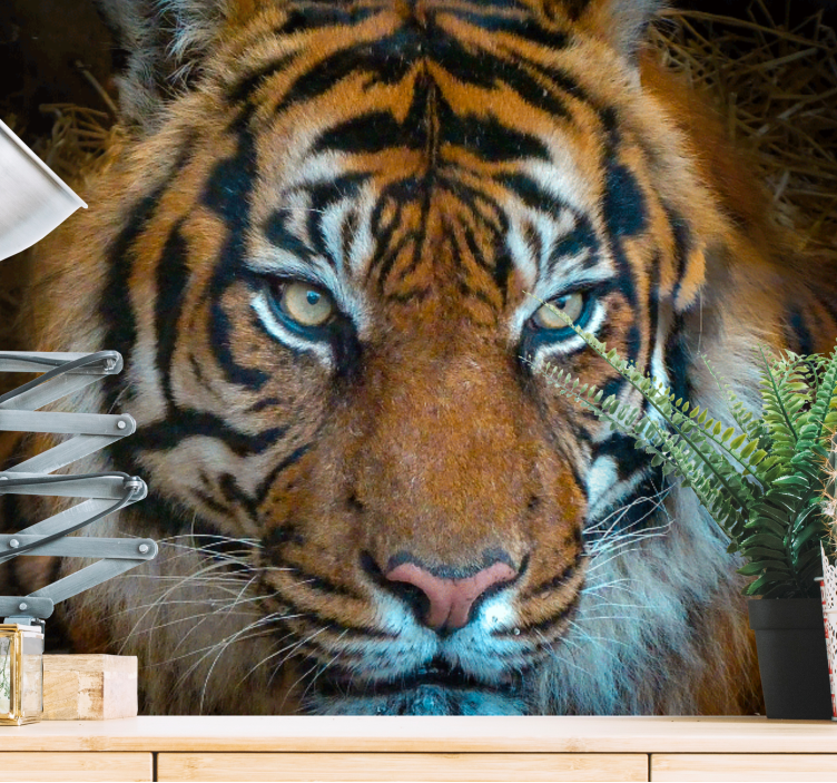 Animal mural regal tiger illustration - TenStickers
