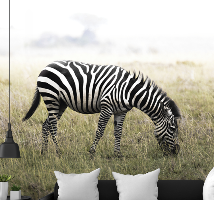 Animal mural zebra grazing serenely - TenStickers