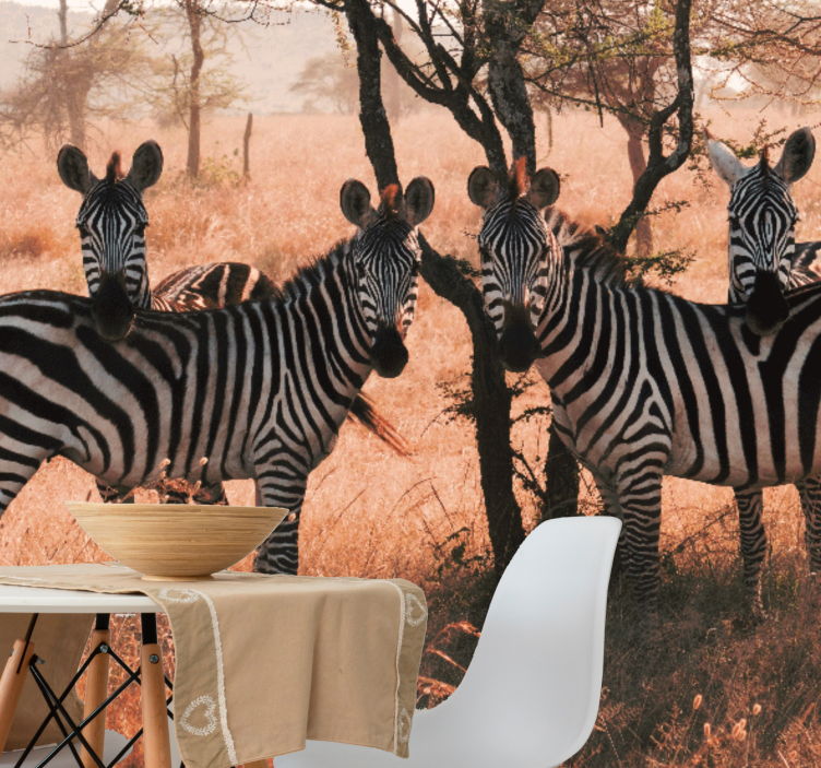 Animal mural zebras in nature - TenStickers