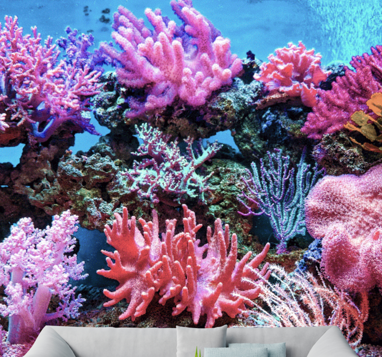 Aquatic Coral Scene under the sea mural - TenStickers