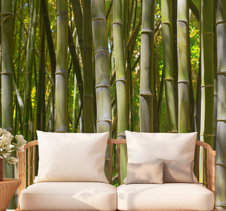 Bamboo mural serene bamboo grove - TenStickers