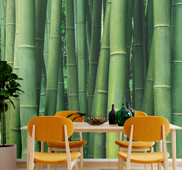 Bamboo mural verdant forest - TenStickers