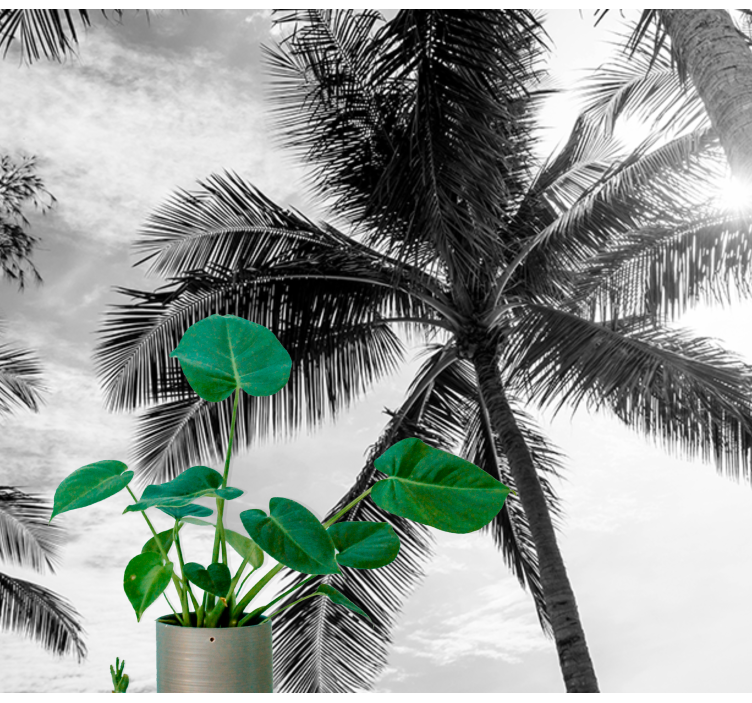 Black and white palm tree mural - TenStickers