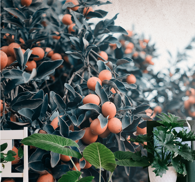 Flower mural citrus fruit branch design - TenStickers