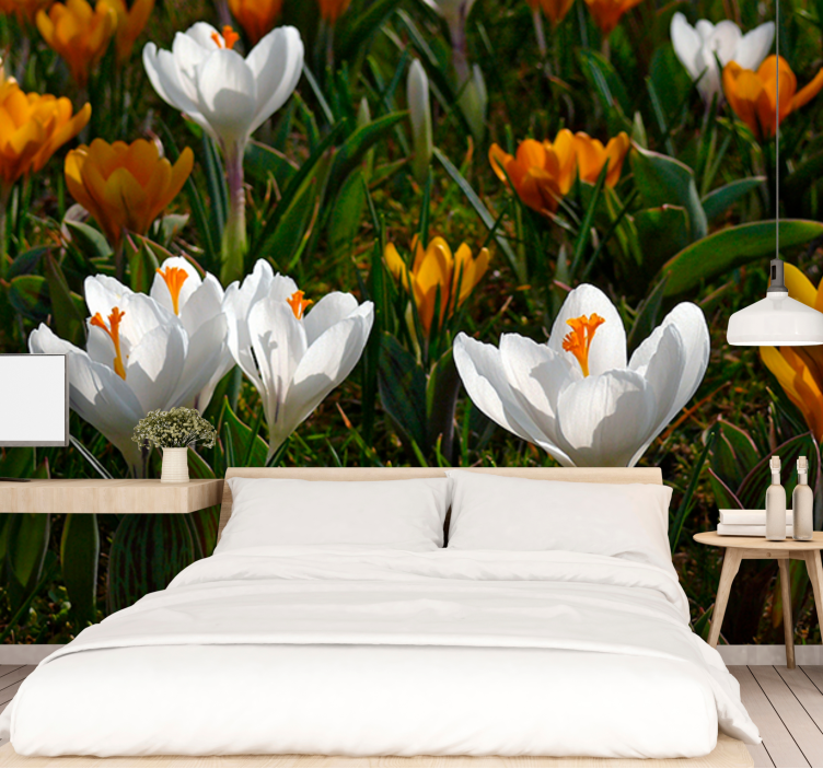 Flower mural crocus flower bloom - TenStickers