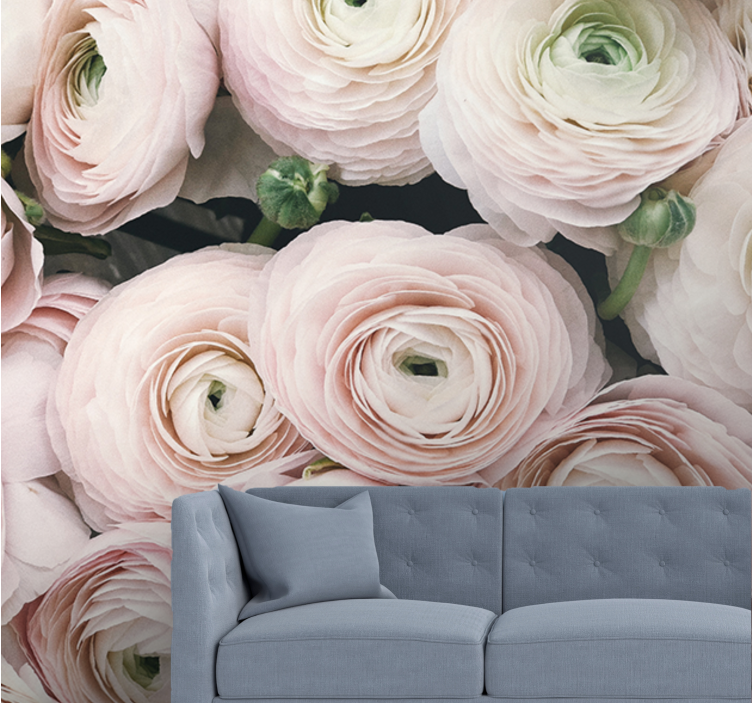 Flower mural delicate ranunculus blooms - TenStickers