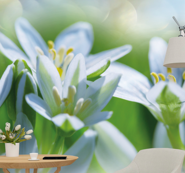 Flower mural gentle white blossoms - TenStickers