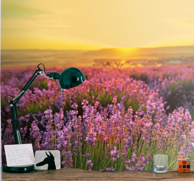 Flower mural lavender meadow at dusk - TenStickers