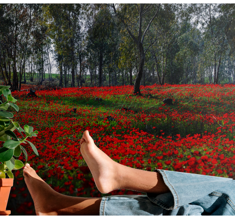 Flower mural poppy field serenity - TenStickers