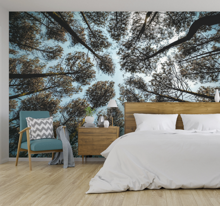 Forest from below forest wall mural - TenStickers