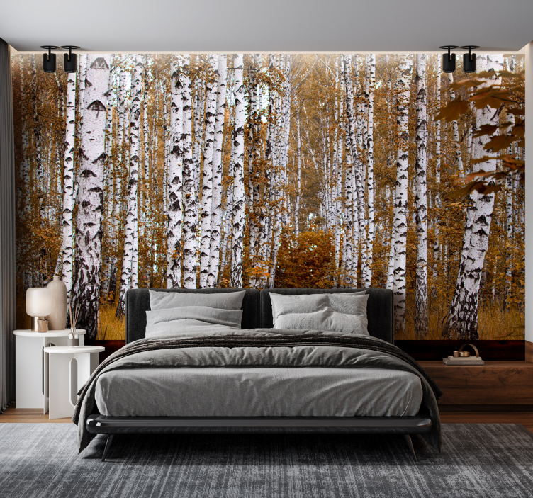 Forest wall mural birch tree grove - TenStickers
