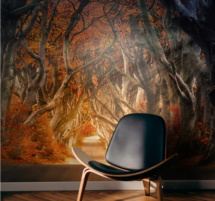 Forest wall mural enchanted forest path - TenStickers