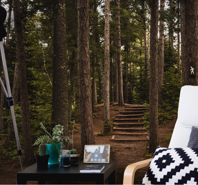 Forest wall mural forest pathway serenity - TenStickers