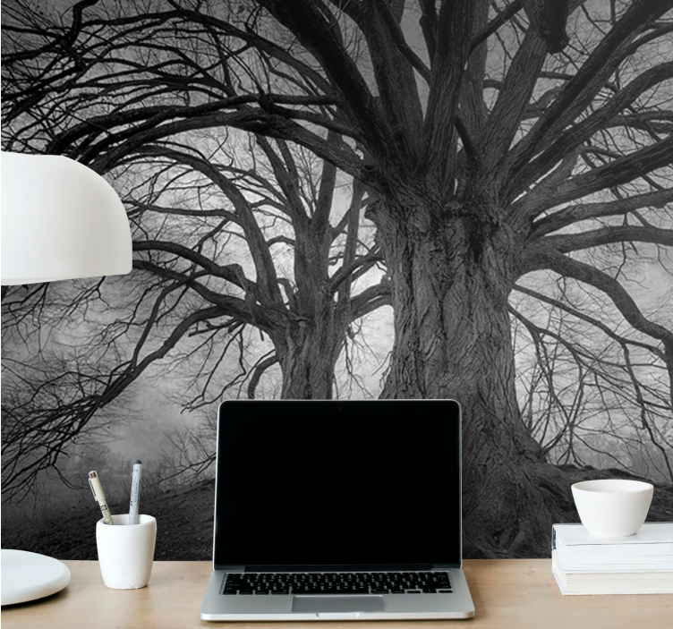 Forest wall mural majestic leafless trees - TenStickers