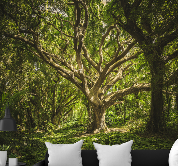Forest wall mural majestic tree canopy - TenStickers