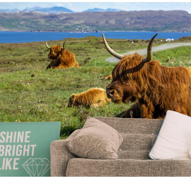 Highland cow group wall mural - TenStickers