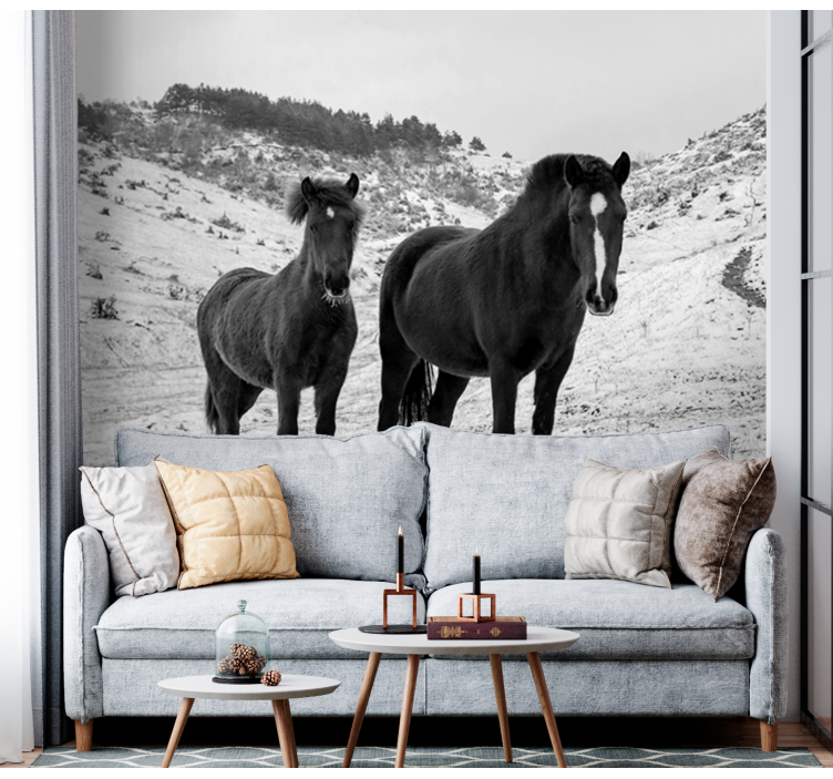 Majestic black horses animal mural - TenStickers