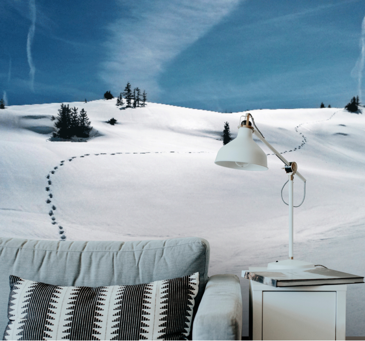 Mountain wall mural snowy mountain path - TenStickers