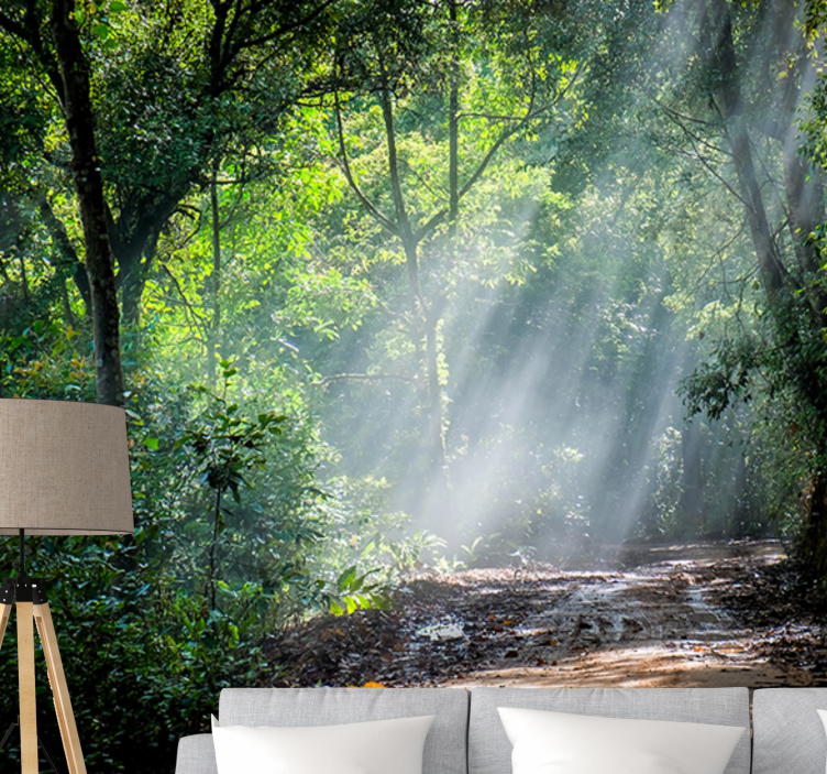Nature wall mural luminous woodland path - TenStickers