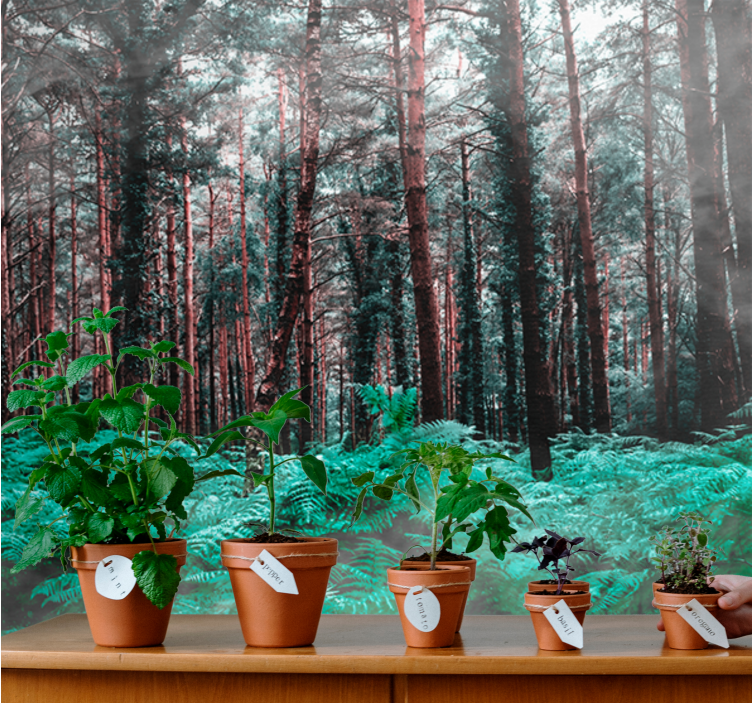 Nature wall mural lush green wilderness - TenStickers