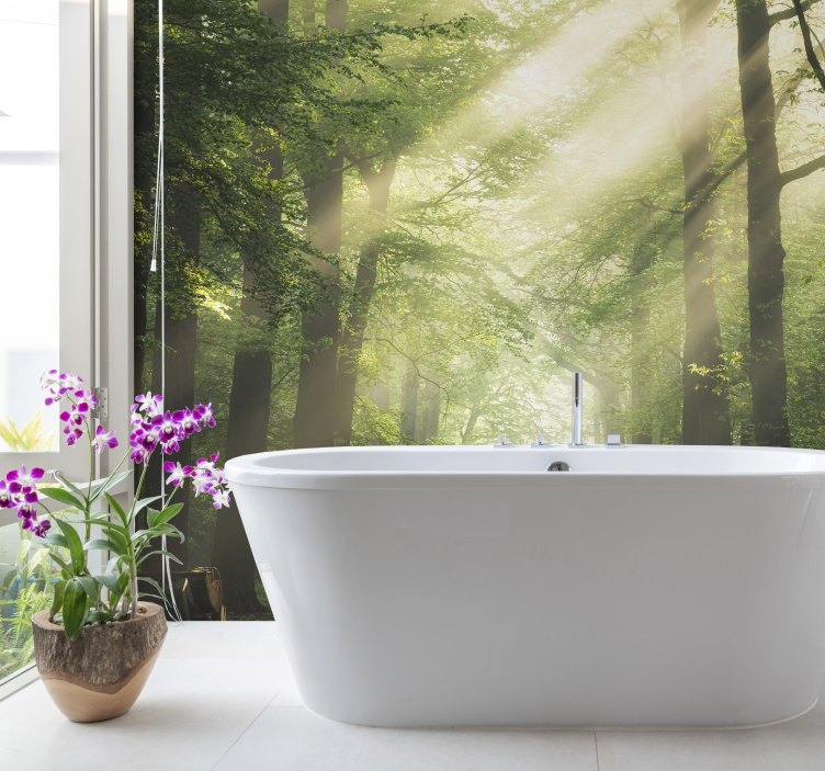 Nature wall mural radiant forest landscape - TenStickers