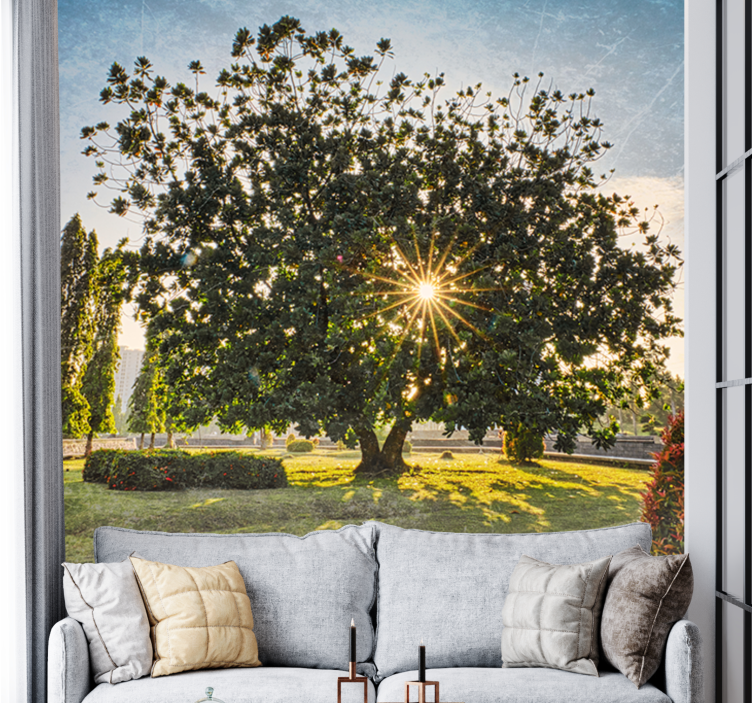 Nature wall mural sunny tree perspective - TenStickers