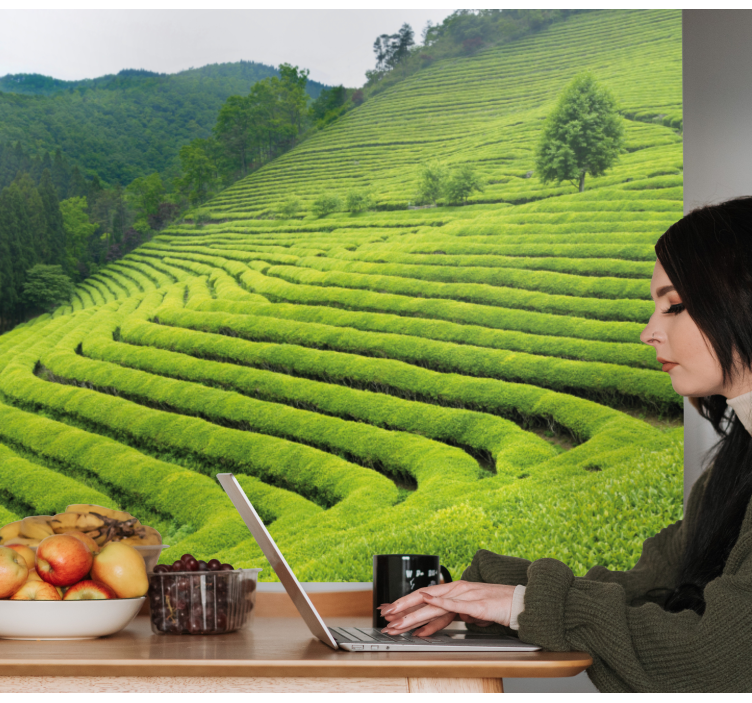 Nature wall mural tea estate scenery - TenStickers