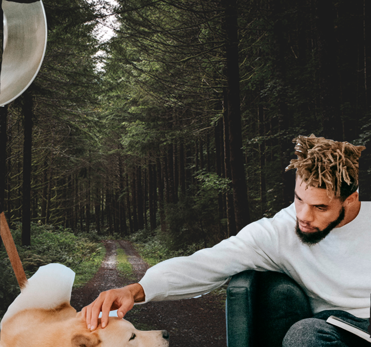 Nature wall mural verdant woodland trail - TenStickers