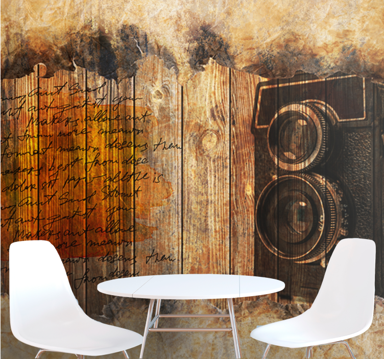 Painting mural vintage camera vibe - TenStickers