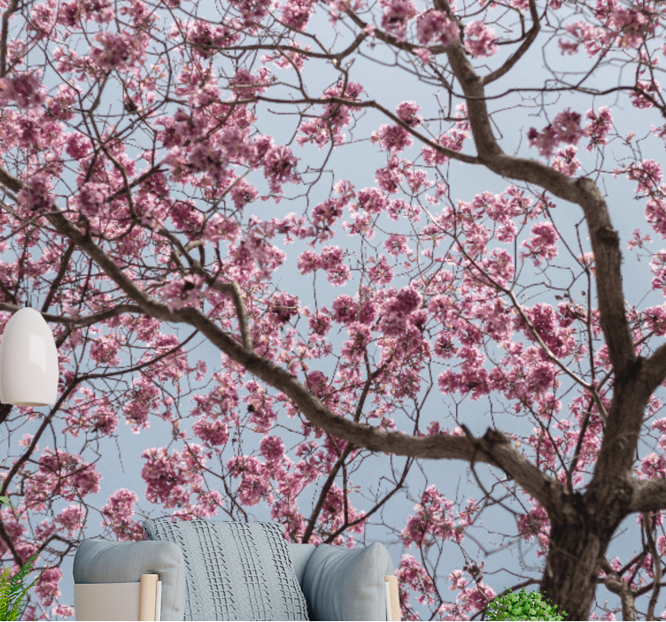 Pink elegant cherry blossom wall mural - TenStickers