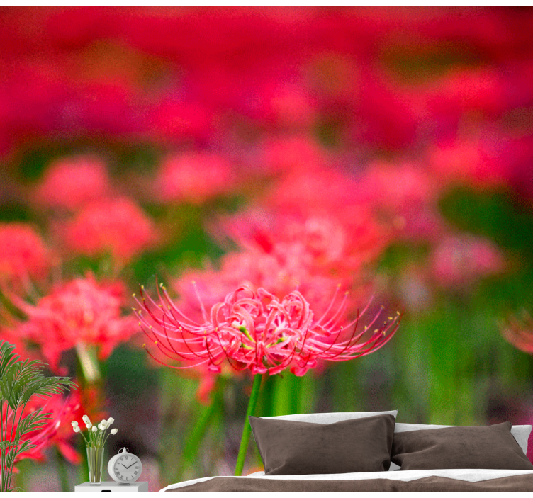 Poppy wall mural lively crimson blooms - TenStickers