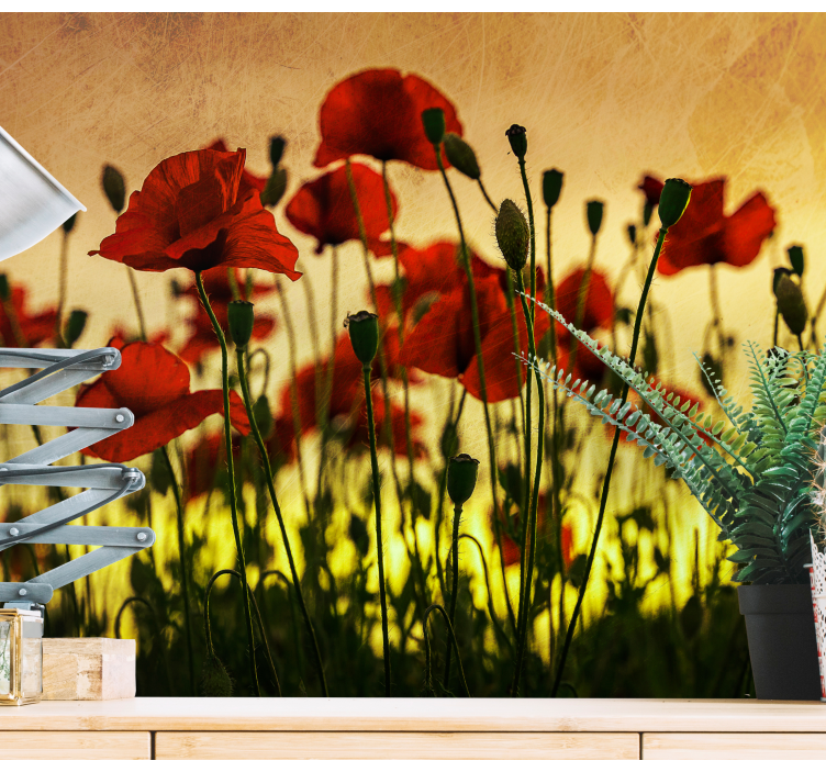 Poppy wall mural poppy flower bloom - TenStickers