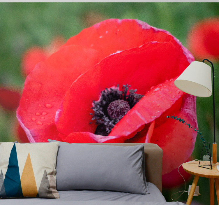 Poppy wall mural red poppy blossom - TenStickers