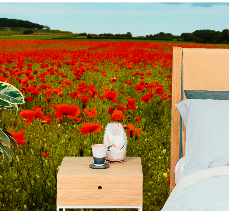 Poppy wall mural vibrant poppy field - TenStickers