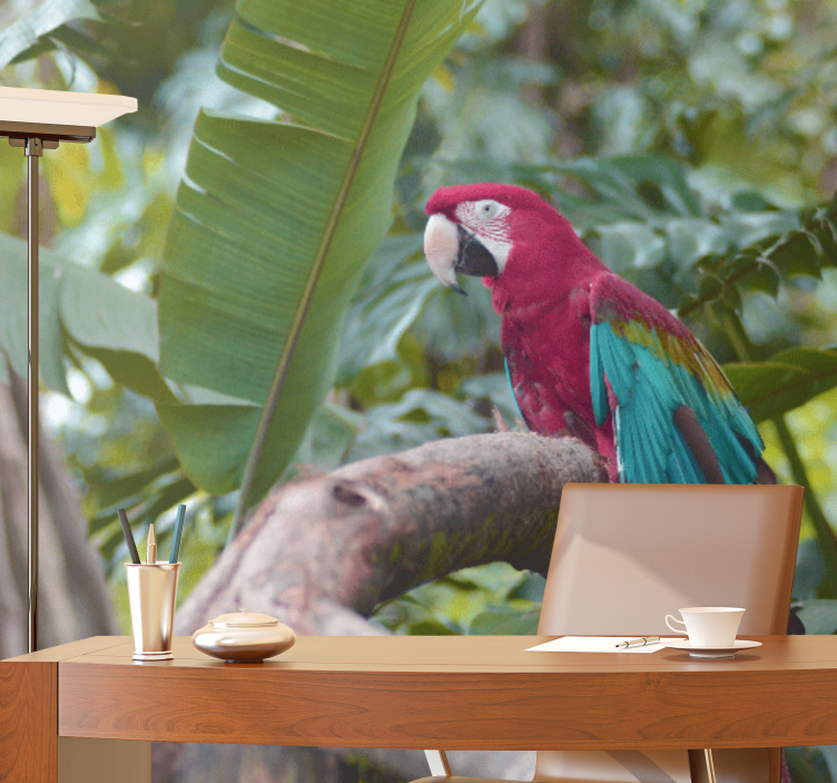 Wall mural colorful macaw parrot - TenStickers