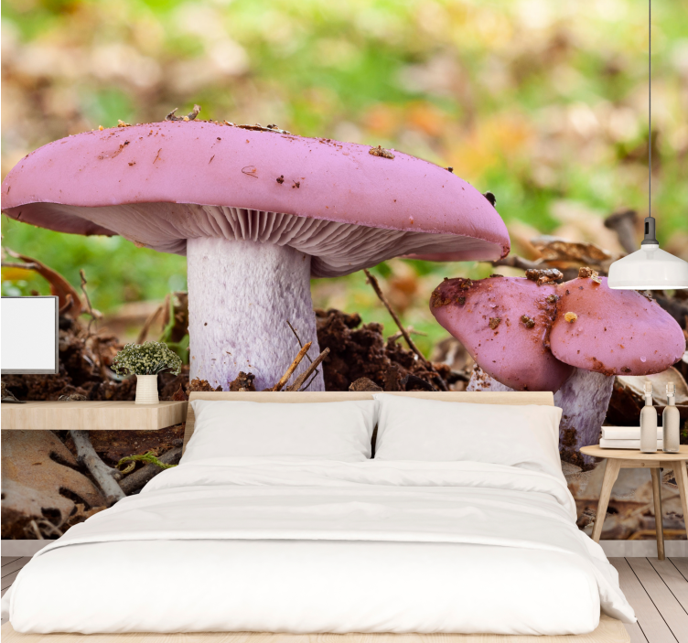 Wall mural pink mushroom cluster - TenStickers