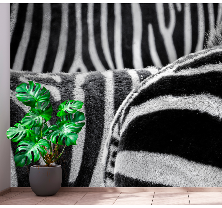 Realistic zebras stripes animal mural - TenStickers