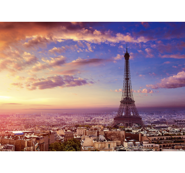Paris view by air City wall mural - TenStickers