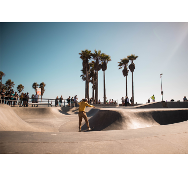 Skate palm tree road mural wallpaper - TenStickers
