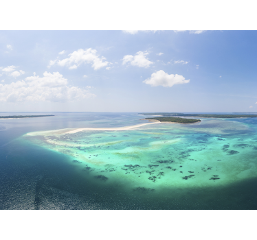 Coral Reef from above City wall mural - TenStickers