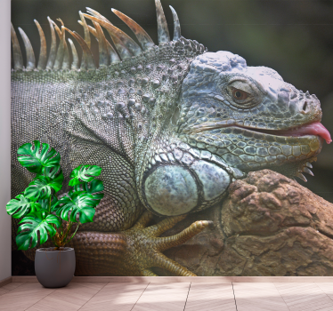 Iguana mural wallpaper - TenStickers